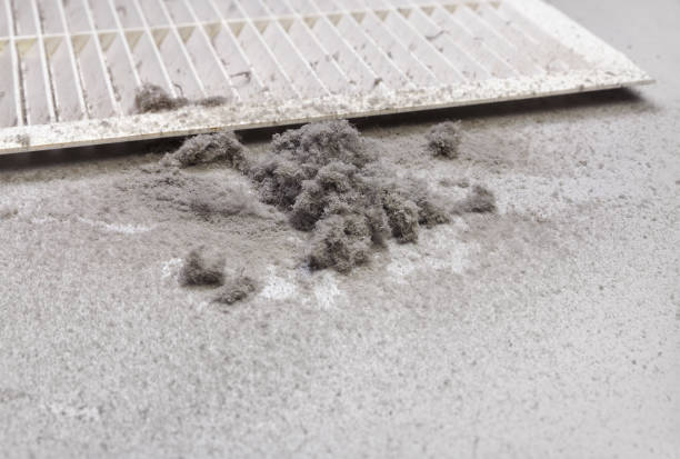Best Best Air Duct Cleaning Company  in University Place, WA
