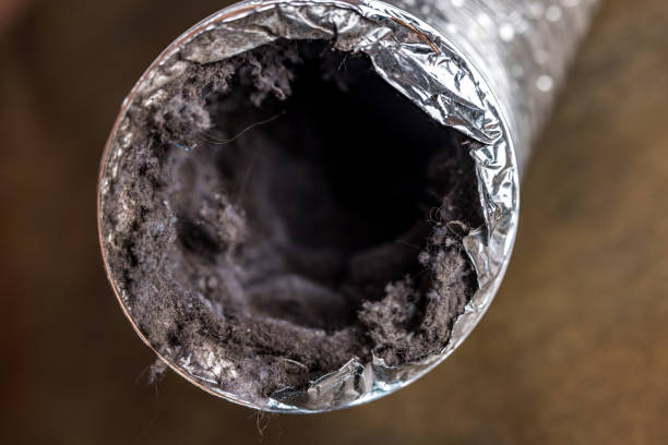 Best Air Duct Cleaning Near Me  in University Place, WA