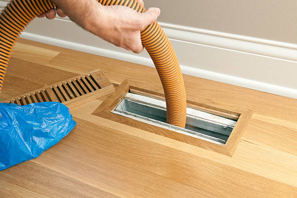 Best Affordable Duct Cleaning Services  in University Place, WA